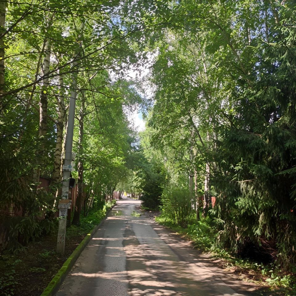 Зелёная улица с деревьями